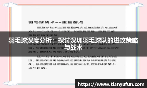 羽毛球深度分析：探讨深圳羽毛球队的进攻策略与战术